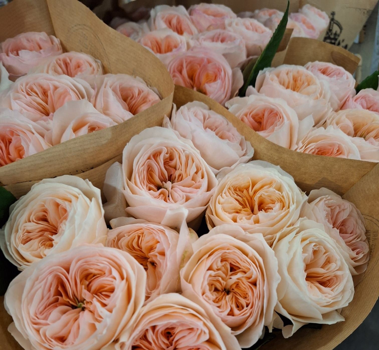 Blumen